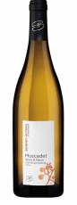 muscadet bonnet huteau clos moulin chatrie